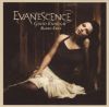 Evanescence-goodenoughradio-usa-promo-cd-1tr-f.jpg